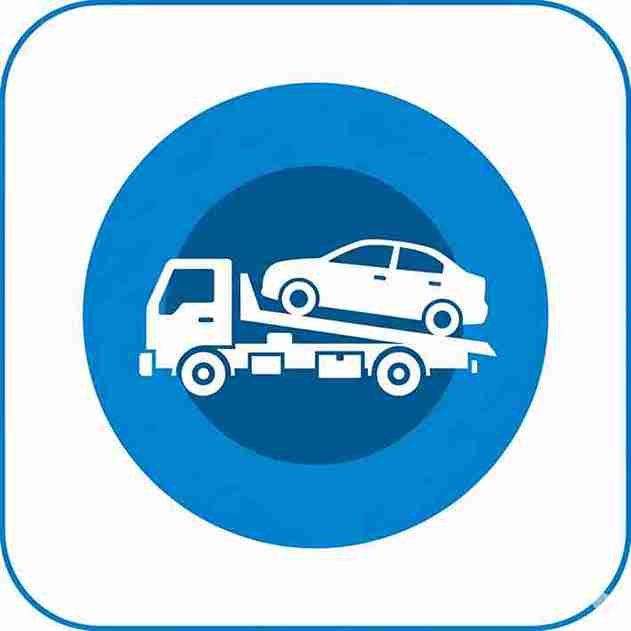 Guincho embu das artes